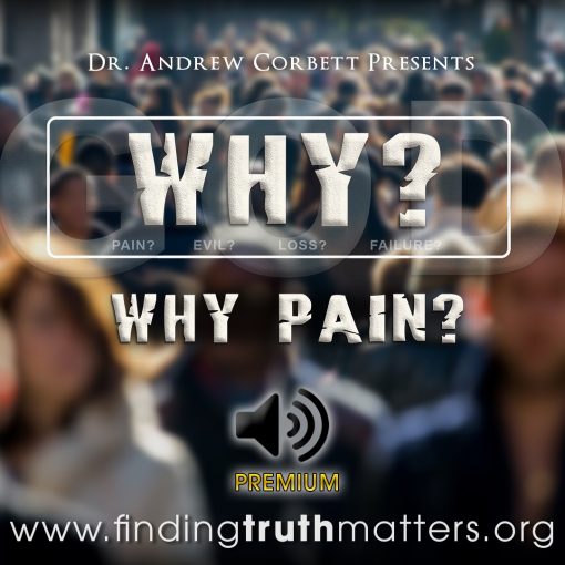 Why Pain?, Premium Audio