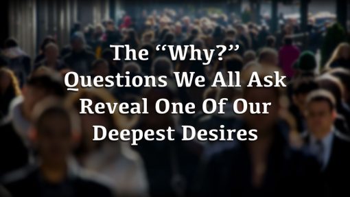 Why Pain?, Premium Audio - Image 2