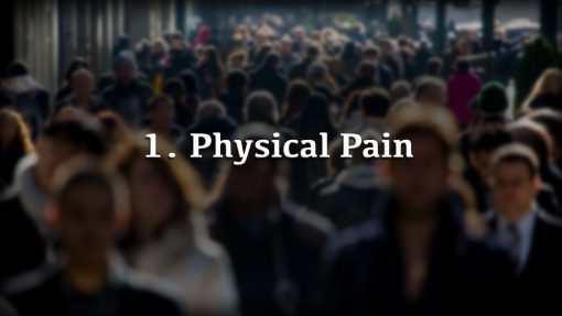 Why Pain?, Premium Audio - Image 4