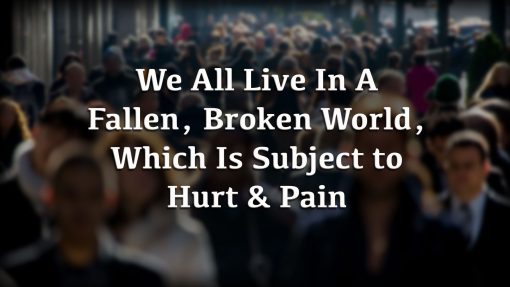 Why Pain?, Premium Audio - Image 7