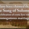 The Most Inspirational Women Of The Bible Part 3: The Shulammite Girl, Premium Audio - Image 6