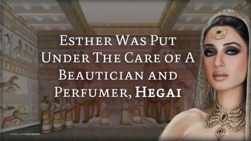 The Most Inspirational Women Of The Bible Part 4: Esther, Premium Audio - Image 5