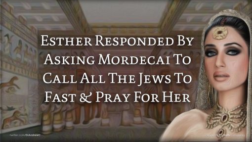 The Most Inspirational Women Of The Bible Part 4: Esther, Premium Audio - Image 7