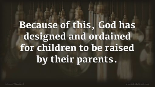 The Problem With Children, Premium Audio - Image 4