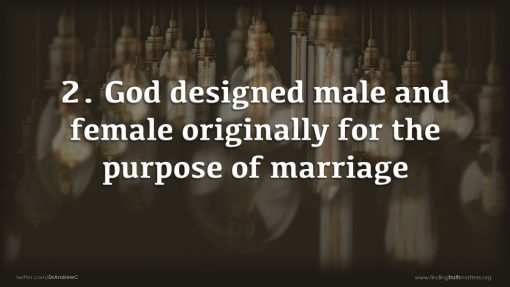 The Problem Of Marriage, Premium Audio - Image 3