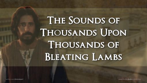 The Last Week - Part 4 - The Mission Overturning Tables, Premium Audio - Image 5
