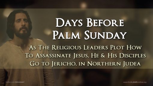 The Last Week - Part 5 - Thirty Pieces Of Betrayal, Premium Audio - Image 4