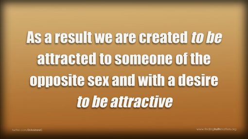 The Big Deal - Part 4 - What's The Big Deal About Sex?, Full Audio - Image 4