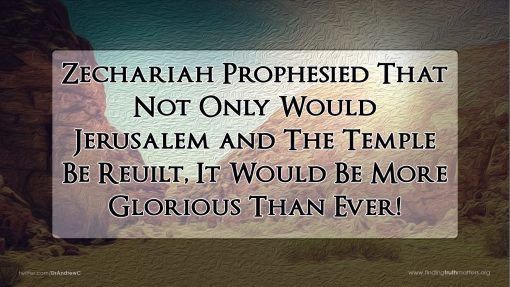 Zechariah: The Exiled Prophet - Part 3 - Do Not Despise The Day Of Small Beginnings, Full Audio - Image 5