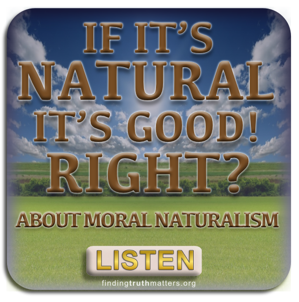 About Moral Naturalism