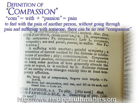 The definition of 'compassion'