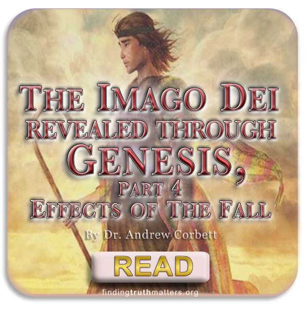 The Imago Dei Revealed Through Genesis, Part 4 – Effects of the Fall